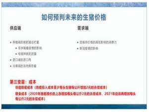 如何预测生猪未来价格