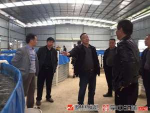 广西玉林市富民:一个陆基圆形池塘可以养5万条鱼