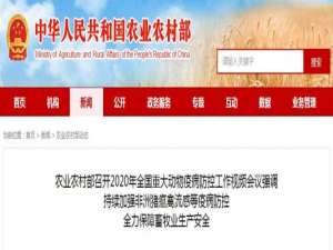 农业农村部:坚持防控重大动物疫病，恢复生猪生产