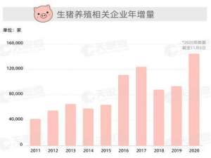 猪肉价格已经下跌了9周。数据显示，今年中国新生猪养殖相关企业数量比去年同期翻了一番
