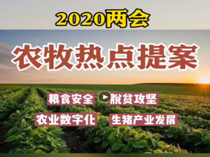 《鸡西观察》专栏:2020两会——农牧业热点提案