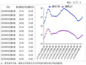 2020年6月猪肉市场供需形势分析:猪肉价格有望小幅上涨