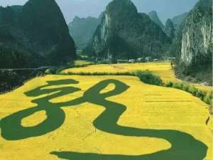 贵州:抓住重点，坚决打好扶贫攻坚战