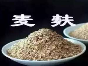 你所不知道的麦麸的功效可以预防母猪便秘！