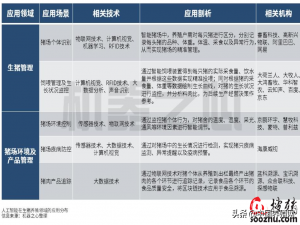 构建智能农场，人工智能激发养猪新动力