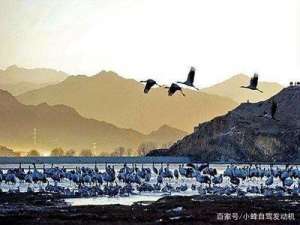 西藏大力推进农牧民就业转移:走向新生活
