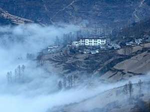 “三区三州”扶贫探索:四川普格发展现代农业致富