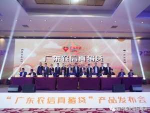“真猪贷”来了！“两兄弟”也可以“清盘”作为抵押品