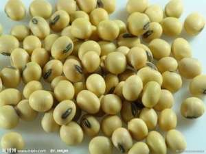 豆类供求基本结构