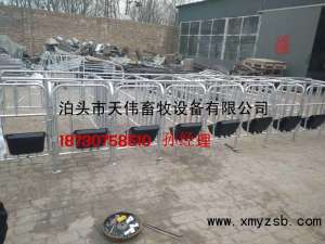 十头猪的定位杆的价格由猪用限位杆的制造商提供