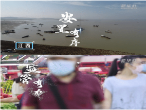 部署一点，实施九点，共同“禁”“退”保护长江