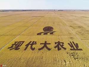 抗疫战，台风，产粮大省黑龙江省稳坐“中国饭碗”