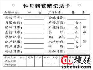 白天让母猪生。没必要熬夜生母猪！