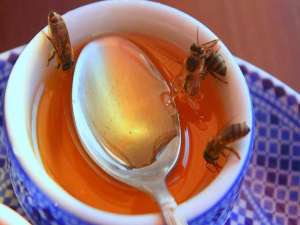生姜蜂蜜水饮食的原理及正确饮用方法