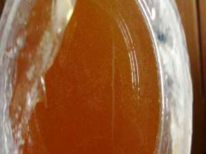 澳洲桉树蜂蜜的作用与功效-谁不能喝桉树蜜？