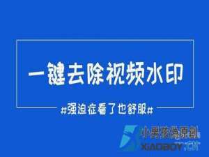 抖音怎么导出无水印视频，无水印解析入口