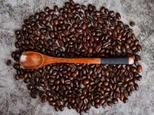 拿铁咖啡月季 - 拿铁咖啡月季和卡布奇诺月季