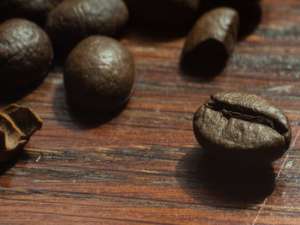 甘肃咖啡 - 甘肃咖啡种植