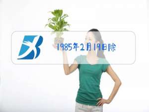 1985年2月19日除夕