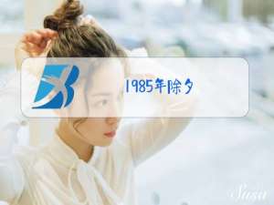 1985年除夕