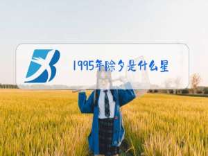 1995年除夕是什么星座