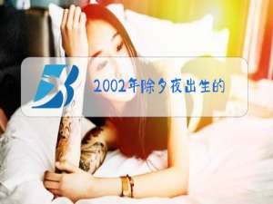 2002年除夕夜出生的人是什么星座