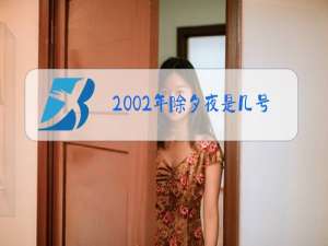 2002年除夕夜是几号