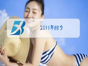 2011年除夕