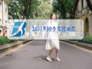 2011年除夕夜放烟花