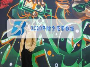 2020年除夕疫情数据