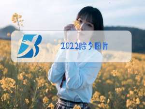 2022除夕图片