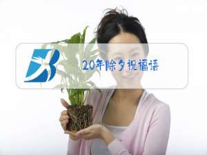 20年除夕祝福语