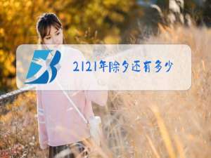 2121年除夕还有多少天