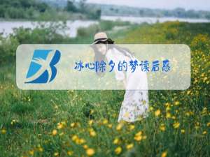 冰心除夕的梦读后感