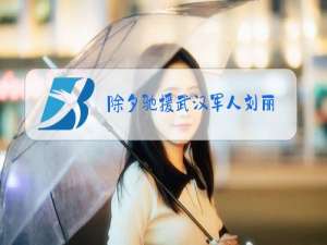 除夕驰援武汉军人刘丽