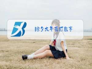 除夕大年夜打数字