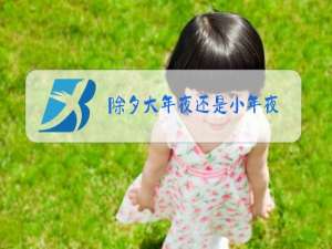 除夕大年夜还是小年夜