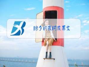 除夕的夜阿成原文