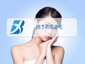 除夕的夜小说