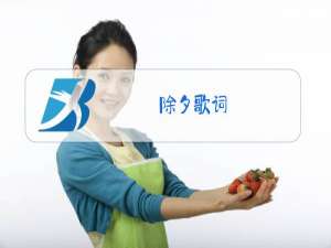 除夕歌词