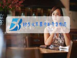 除夕火车票今日开售你还回家过年