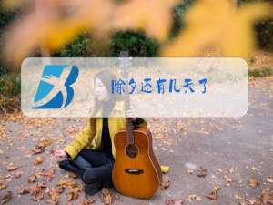 除夕还有几天了