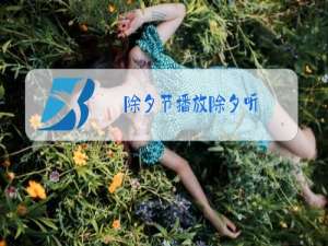 除夕节播放除夕听