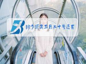 除夕距离五月二十号还有多少天