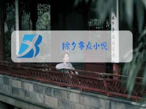 除夕零点小说