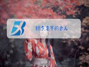 除夕名字的含义