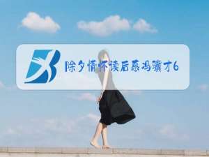 除夕情怀读后感冯骥才600