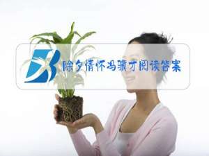 除夕情怀冯骥才阅读答案概括故事内容