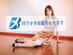 除夕全家团圆看电视春节联欢晚会