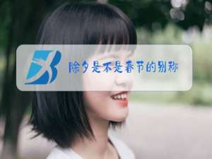除夕是不是春节的别称